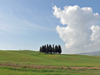 Toscana, 2010
