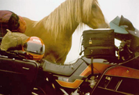 Hest og MC i Pyrenæerne