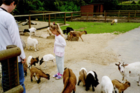 Zoo de Jurques