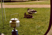 Camping An der Schwentine i Malente-Gremsmühlen
